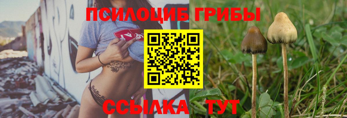 Волгоград  Псилоцибиновые грибы ЛСД  Галлюциногенные грибы мухоморы  Вход с VPN 